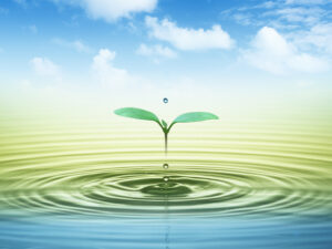 スピリチュアルのイメージ画像